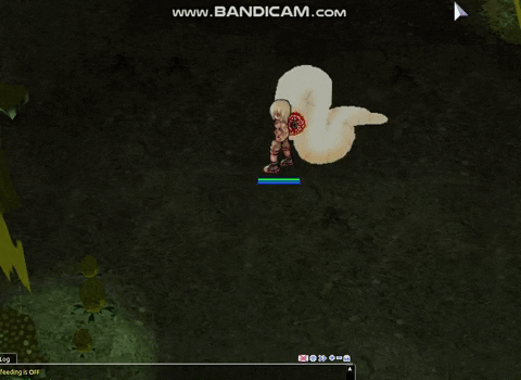 11.gif