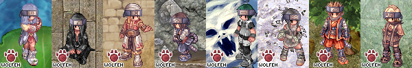 collection.jpg
