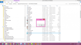 error client 2013.png