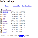 cp.png