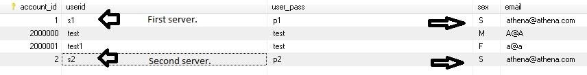 rpp - Copy.jpg