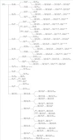 Ragnarok Job Tree Complete.JPG Ragnarok Job Tree Complete.JPG