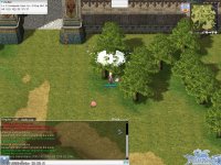 screenDeliverance-Online003.jpg