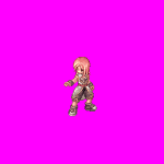 charsim.png