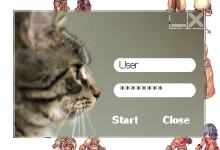 rocred-cat.png rocred-cat.png