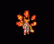 2019-3.gif