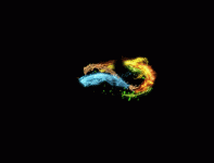 10.gif