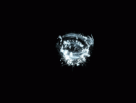 12.gif