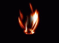 14.gif