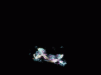 28.gif