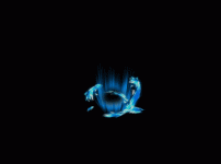 31.gif