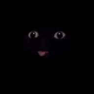 Júnior