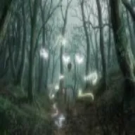 elderwood