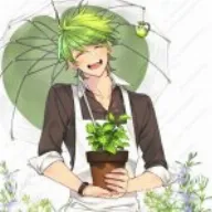 cilantro