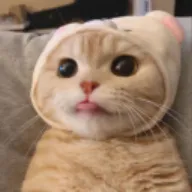 jowi