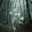 elderwood