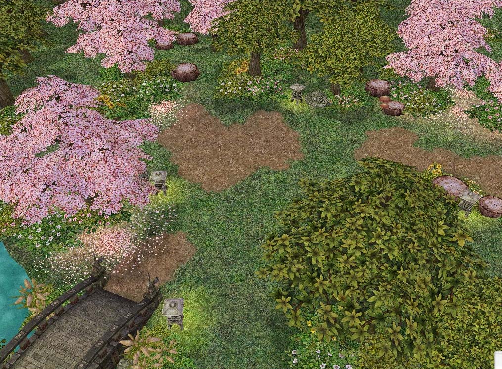 Cherry Blossom Field