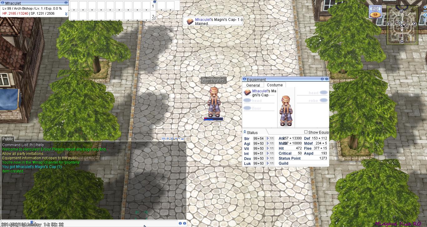 Costume Item Plugins